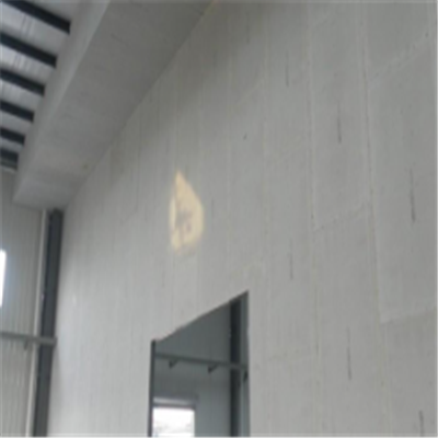 从化新型建筑材料掺多种工业废渣的ALC|ACC|FPS模块板材轻质隔墙板